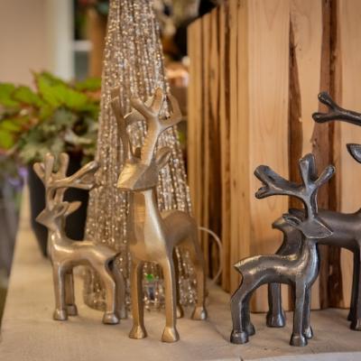 Bloemen Uit Millingen