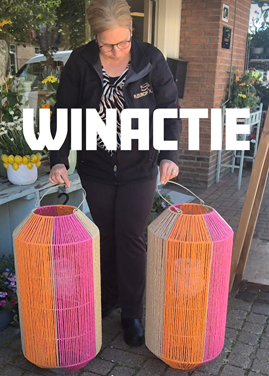 winactie